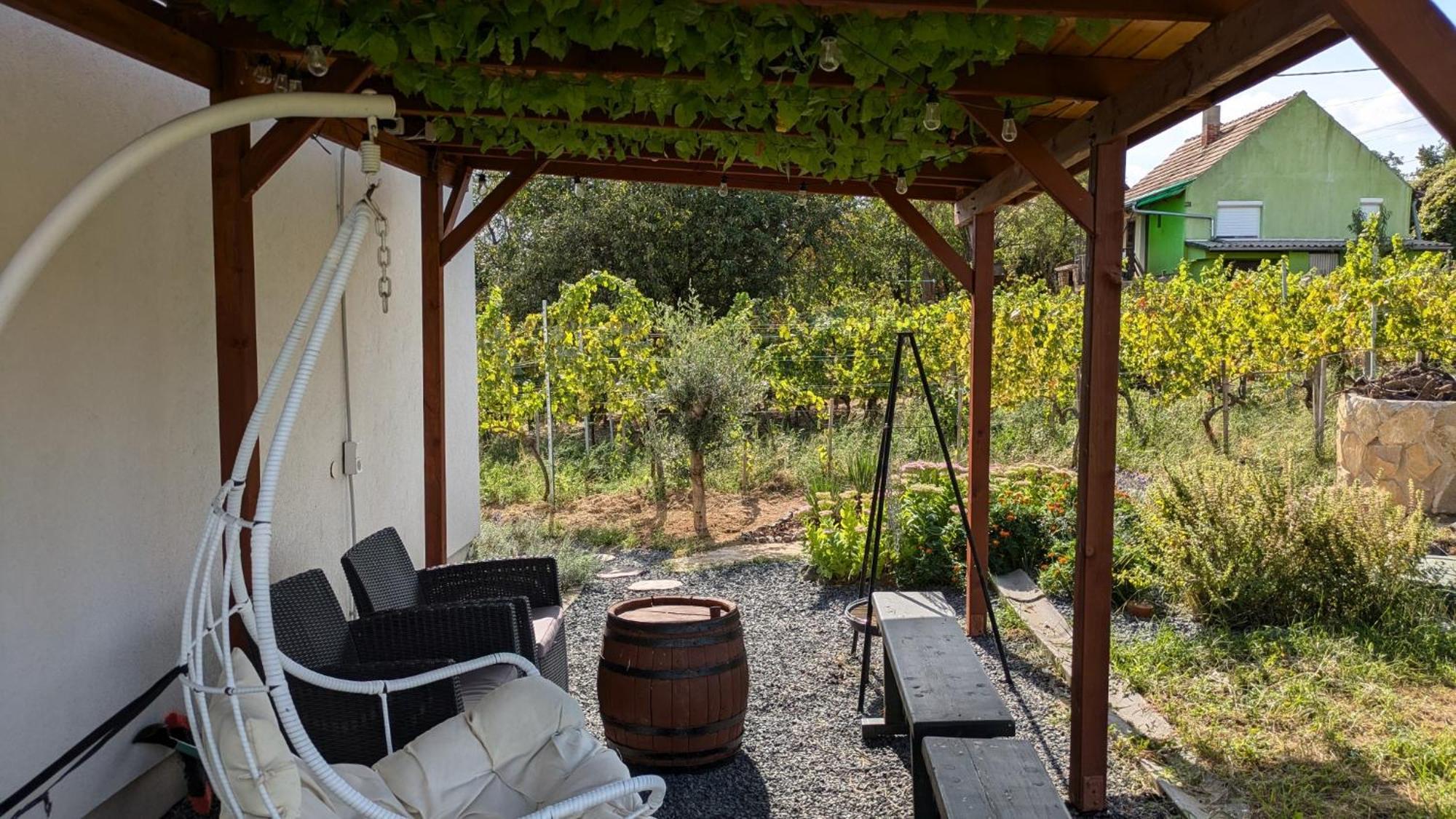 Jera Pince Es Vendeghaz Villa Somlovasarhely Exterior photo